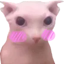 :blushing_bingus: