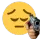 Gun