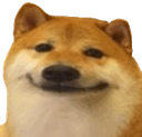 :doge: