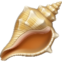 :grinderconchshell: