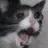 YELLING