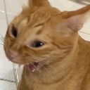 :no: