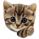 thumbsupcat
