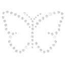 q_butterfly