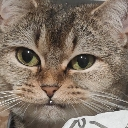 dontmesswithme Discord Emoji - The Homeless Assosciation