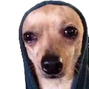 emoji_43