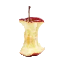 Rapple