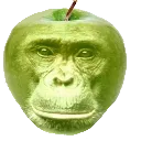 Monkpple