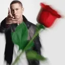 rosetoy