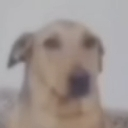 :emoji_57: