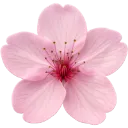 emoji_304
