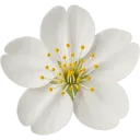 emoji_304