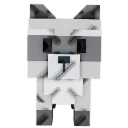 racoon