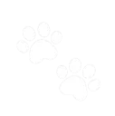 iconpaws