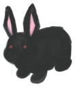 Black_Rabbit custom emote - WONDERLAND