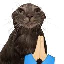 emoji_12