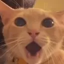 emoji_23