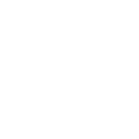 iconScamLensWhite