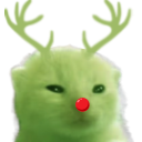 raindeer