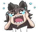 WolfBoyPanic