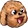 masChamp