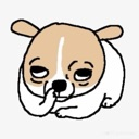 A small puppy with brown and white fur looking sideways with heavy, skeptical eyelids and a paw near its mouth.