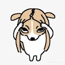 Corgi dog holding its head with both paws looking stressed.