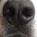 vx_ozzyBoop