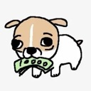 A small puppy with wide eyes holding a stack of cash in its mouth.