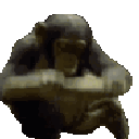 :bonk: