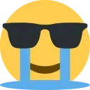 sunglasses_cool_cry