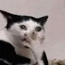 emoji_29