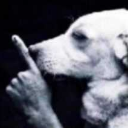 shhhh