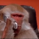 monkeyphone
