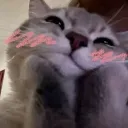 awww