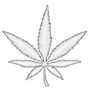 iconleaf