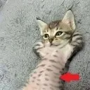 justchillin