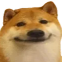 DogeSmile