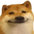 :DogeSmile: