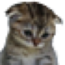sadkitty Discord Emoji - ⊹₊⟡⋆ Greyscale ₊˚⊹ ᰔ