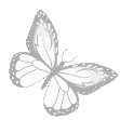 White butterfly with detailed wing patterns depicted in a simple pixel art style.