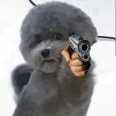 aero_doggun
