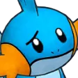 MudkipBruhHuh