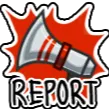 Report