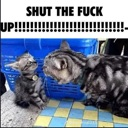 :STFU: