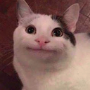 :__: