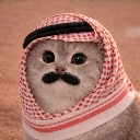 :emoji_5: