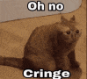 :OhNoCRINGE:
