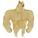 Strong_Doge