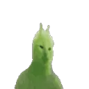 Angry_catslap